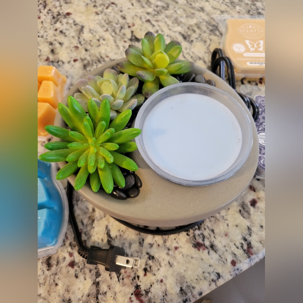 Secentsy Wax Succulent burner and melts